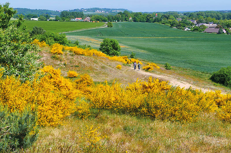 zur Übersicht Menschen 8