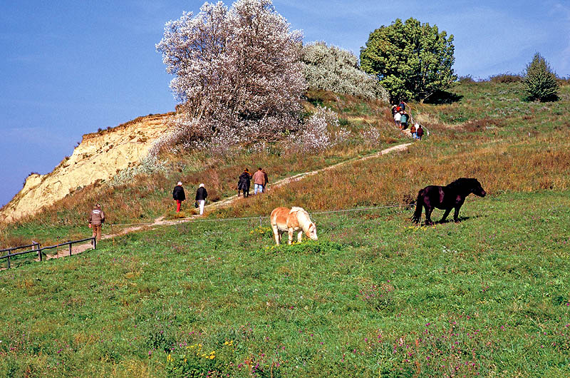 zur Übersicht Menschen 8