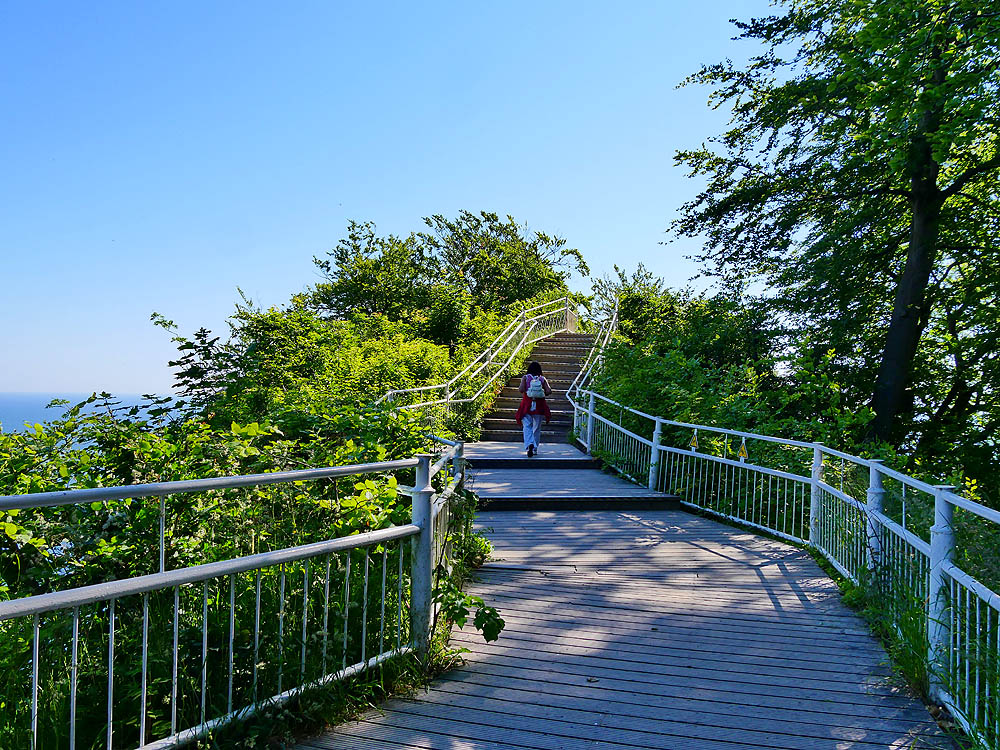 zur Übersicht Menschen 9