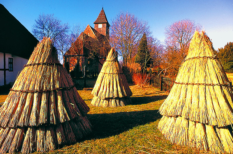 zur Übersicht Mönchgut 1