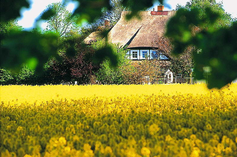 zur Übersicht Mönchgut 1