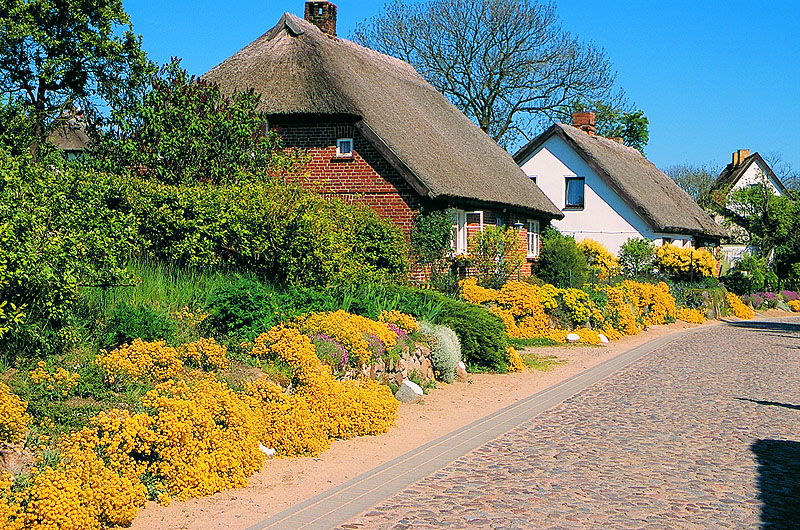 zur Übersicht Mönchgut 2