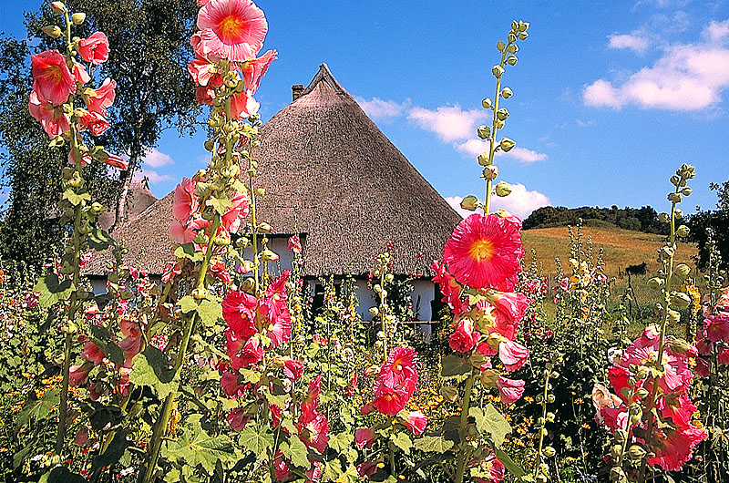 zur Übersicht Mönchgut 2