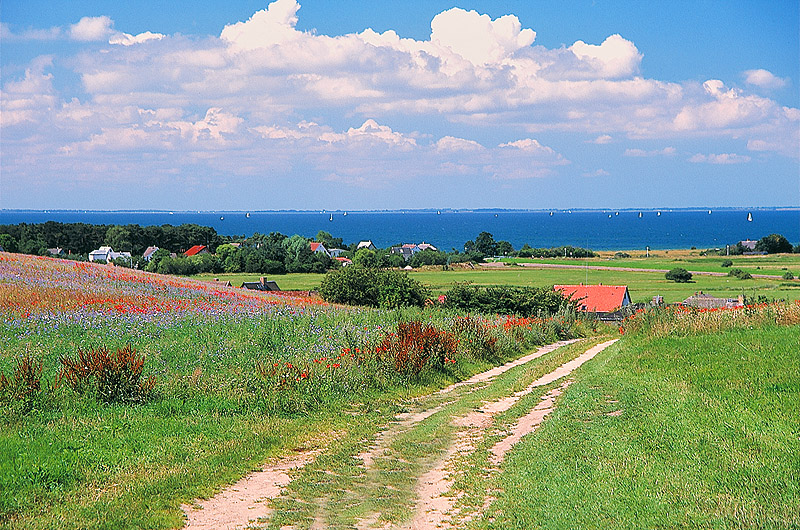 zur Übersicht Mönchgut 2