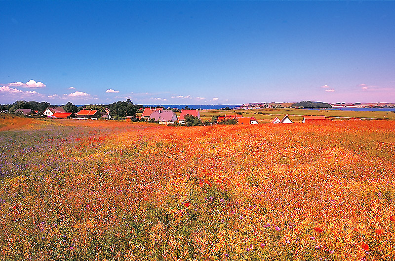 zur Übersicht Mönchgut 2