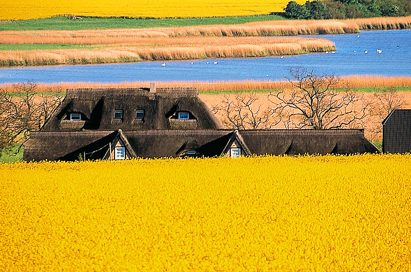 zur Übersicht Mönchgut 3