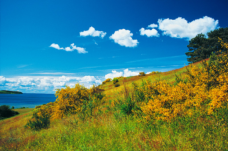 zur Übersicht Mönchgut 3