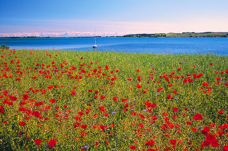 zur Übersicht Mönchgut 4