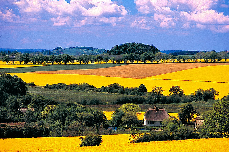 zur Übersicht Mönchgut 5