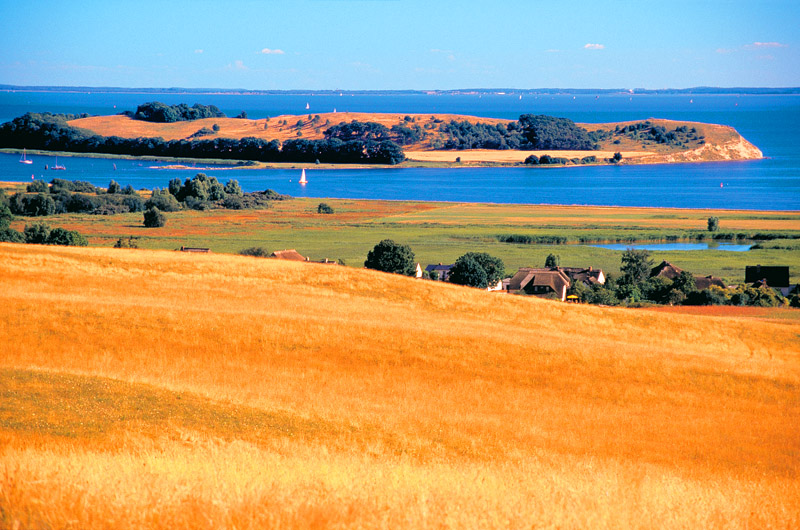 zur Übersicht Mönchgut 5