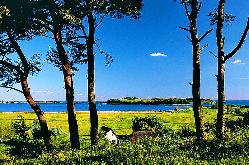 zur Übersicht Mönchgut 5