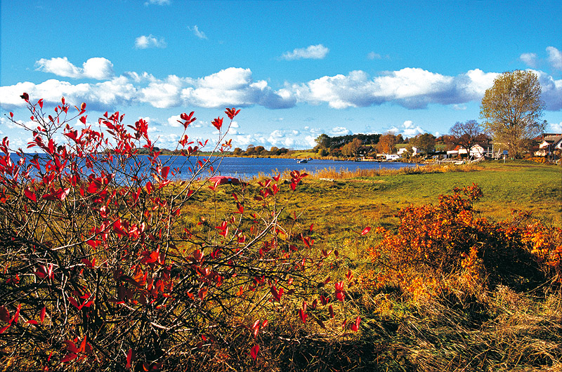 zur Übersicht Mönchgut 5
