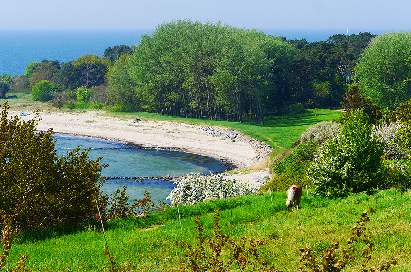 zur Übersicht Mönchgut 6