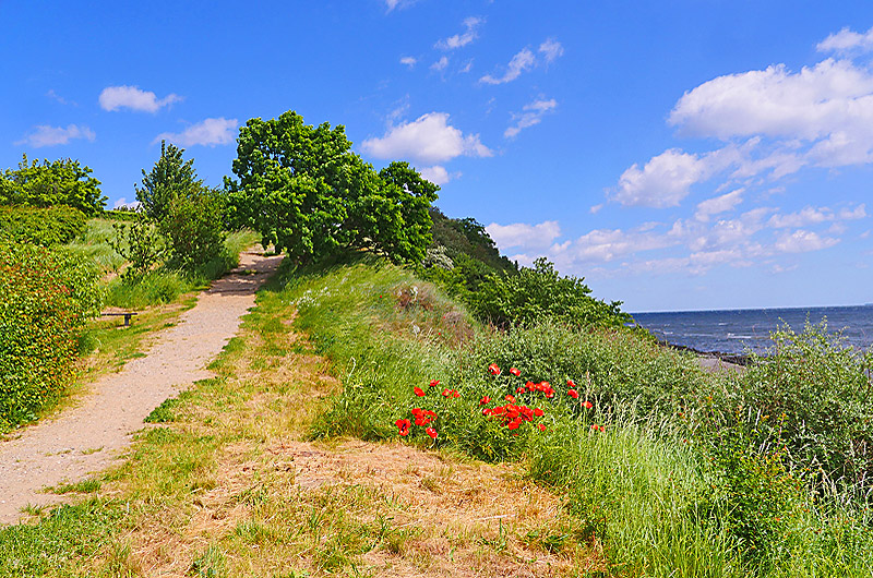 zur Übersicht Mönchgut 8