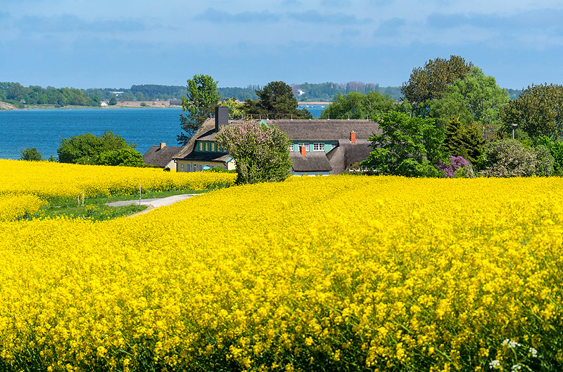 zur Übersicht Mönchgut 9
