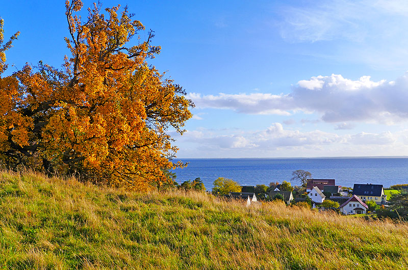 zur Übersicht Mönchgut 9