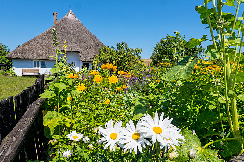 zur Übersicht Mönchgut 9