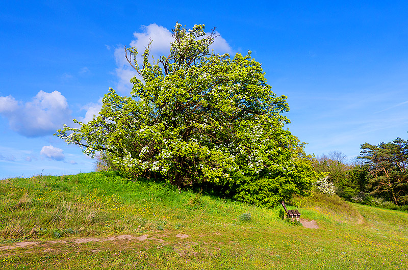 zur Übersicht Mönchgut 10