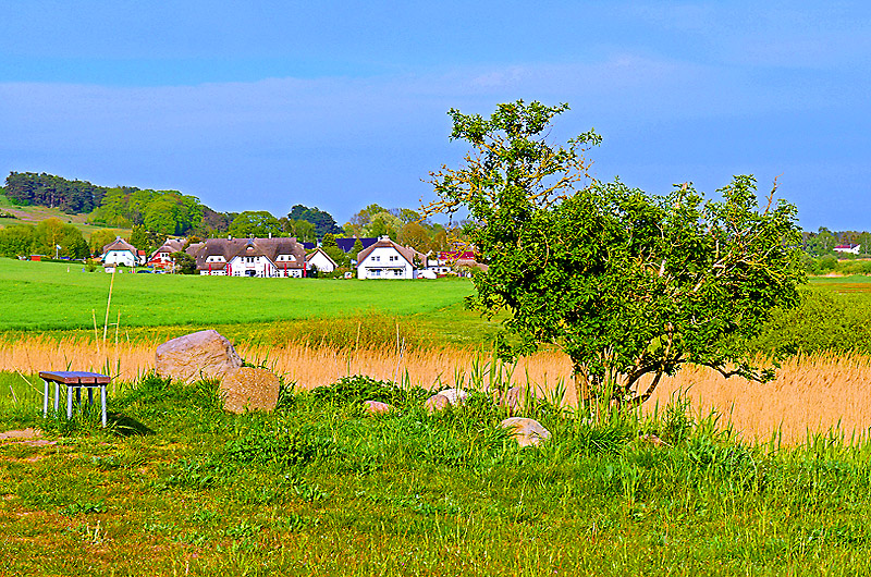 zur Übersicht Mönchgut 10