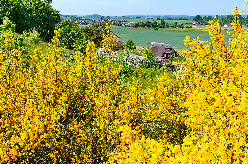 zur Übersicht Mönchgut 10