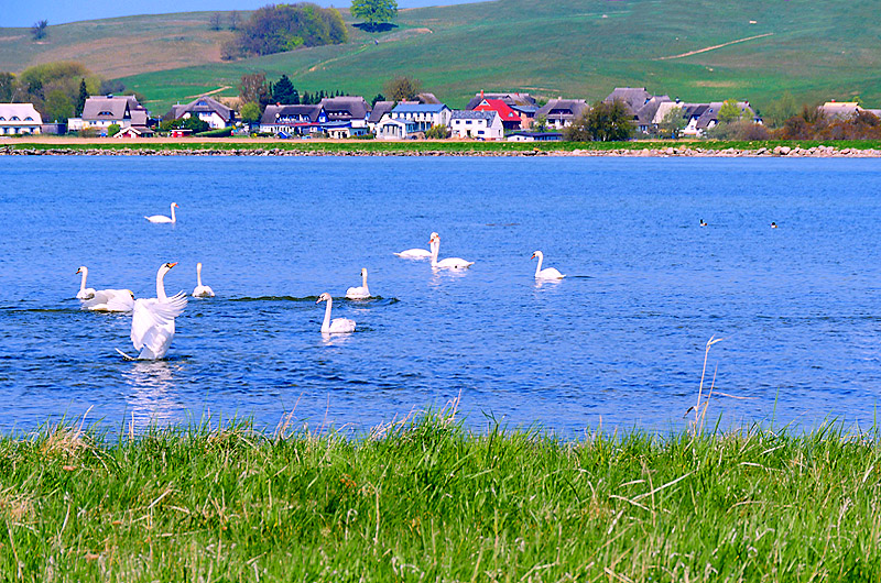 zur Übersicht Mönchgut 10