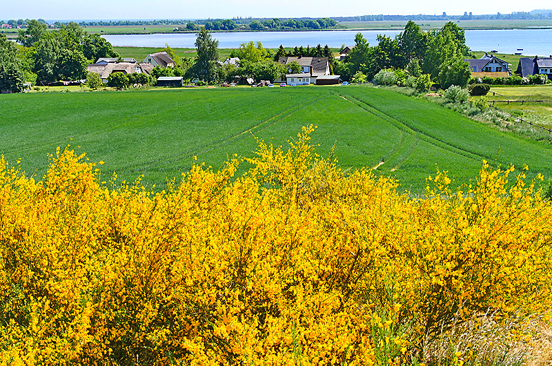 zur Übersicht Mönchgut 10
