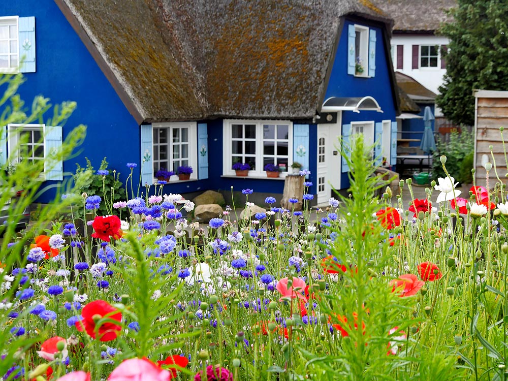 zur Übersicht Mönchgut 12