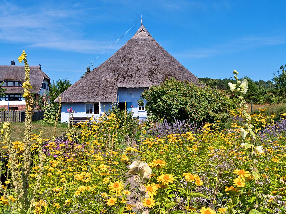 zur Übersicht Mönchgut 12