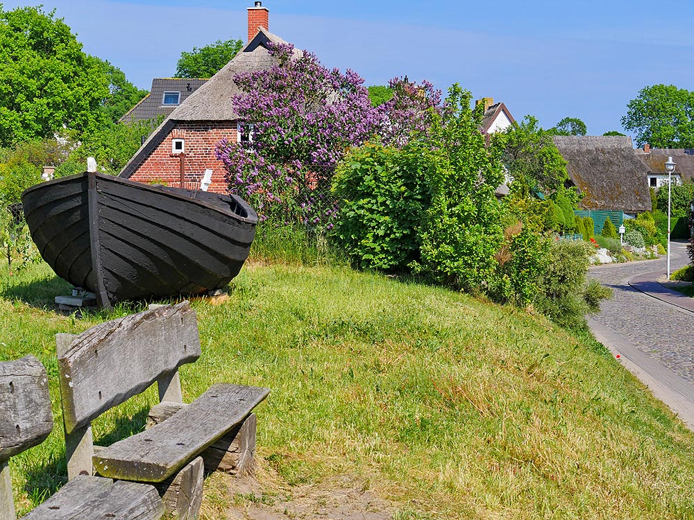 zur Übersicht Mönchgut 12