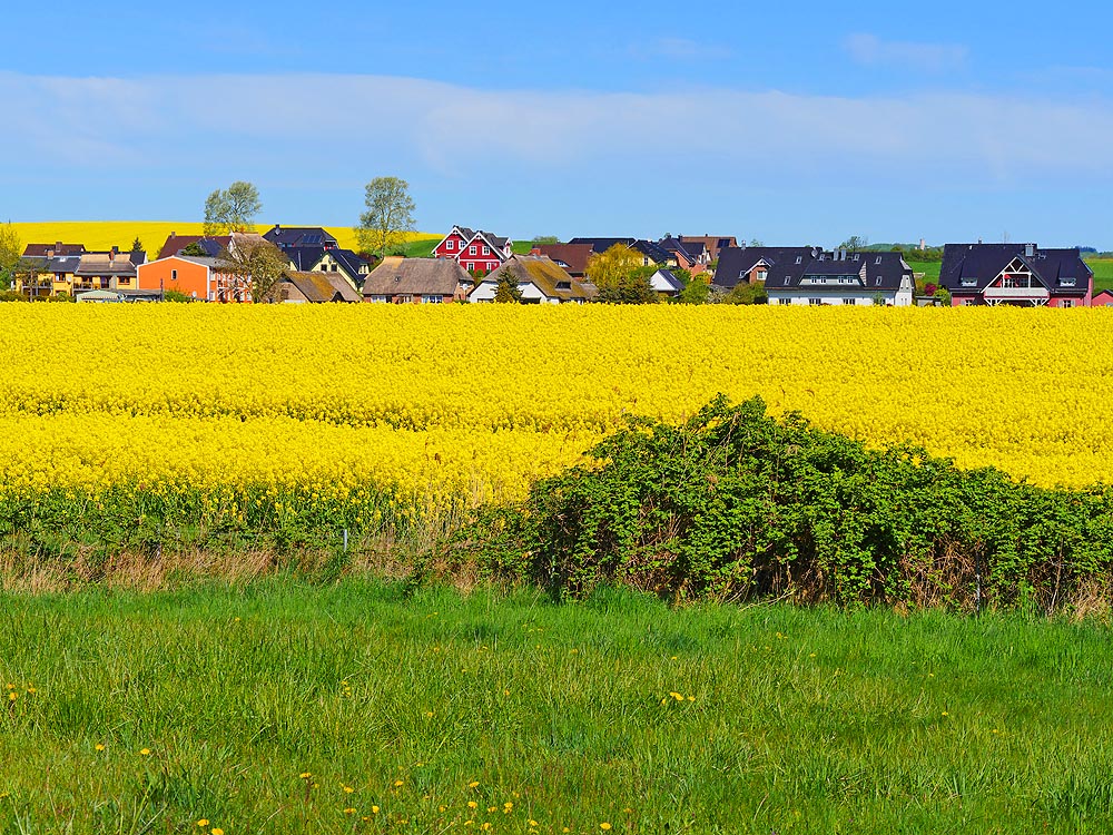 zur Übersicht Mönchgut 12