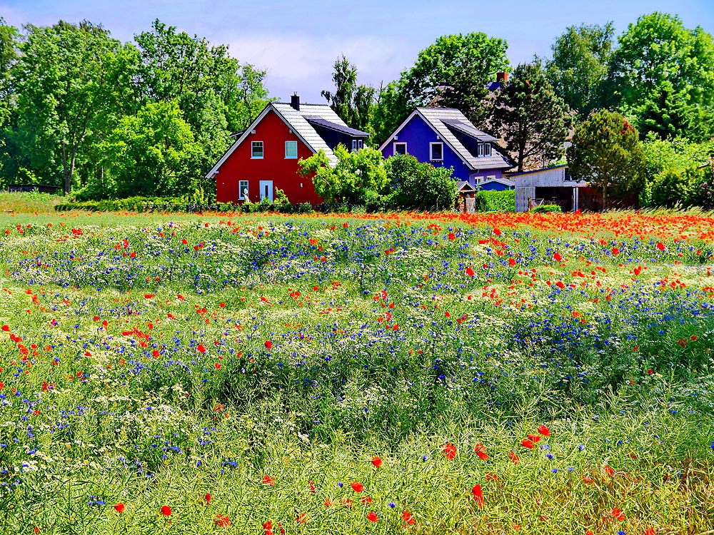 zur Übersicht Mönchgut 12