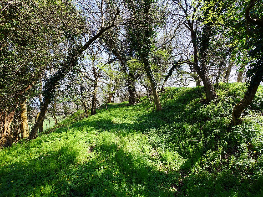 zur Übersicht Mönchgut 13