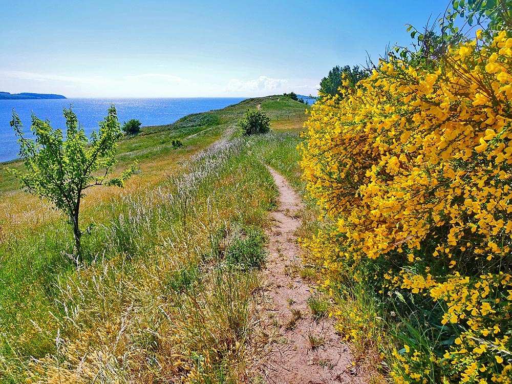 zur Übersicht Mönchgut 13