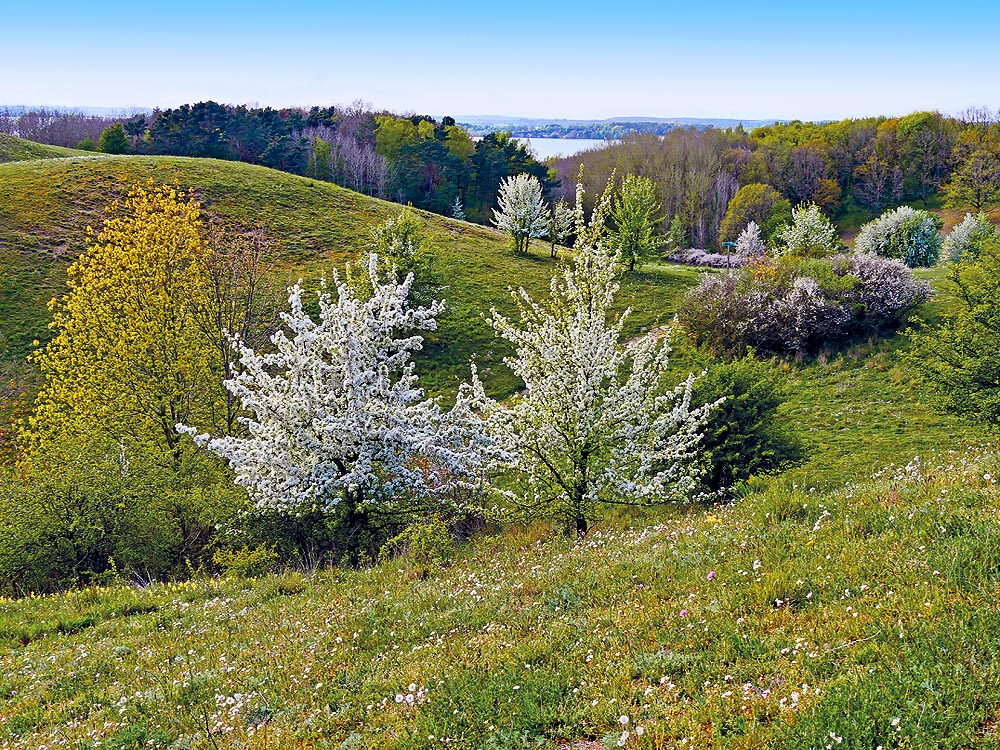 zur Übersicht Mönchgut 13