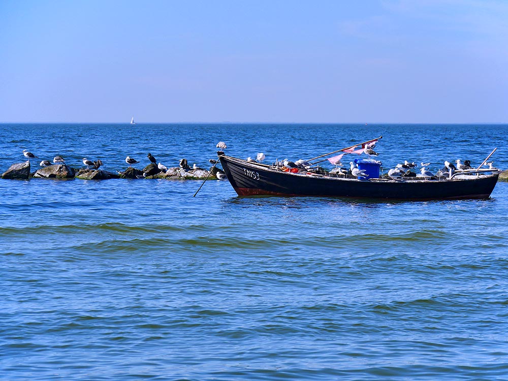 zur Übersicht Mönchgut 14