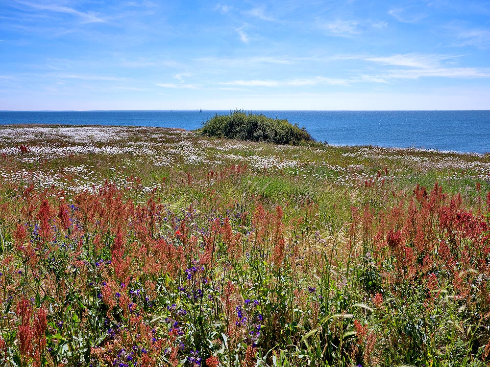 zur Übersicht Mönchgut 14