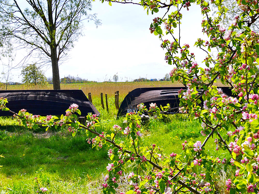 zur Übersicht Mönchgut 15