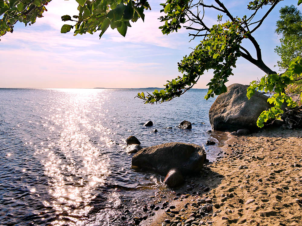 zur Übersicht Mönchgut 15