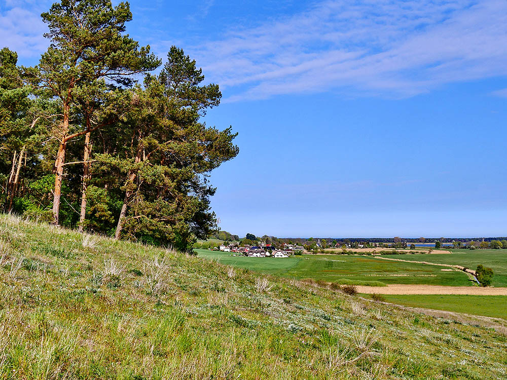zur Übersicht Mönchgut 15