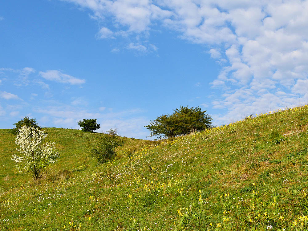 zur Übersicht Mönchgut 15