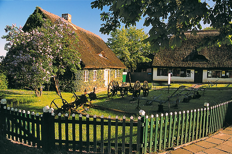 zur Übersicht Museen 1