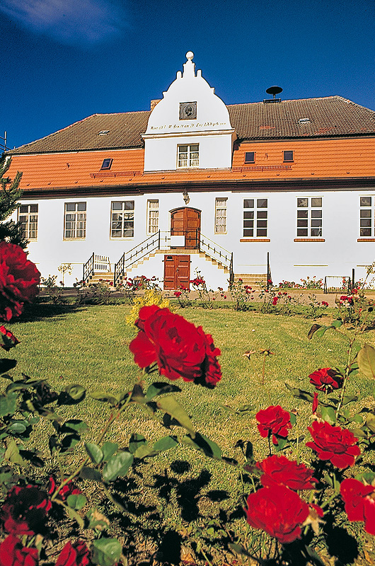 zur Übersicht Museen 1