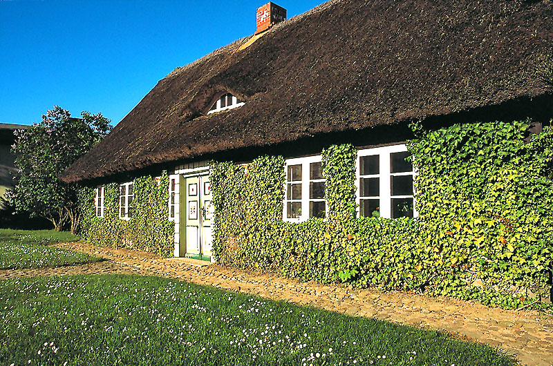 zur Übersicht Museen 1