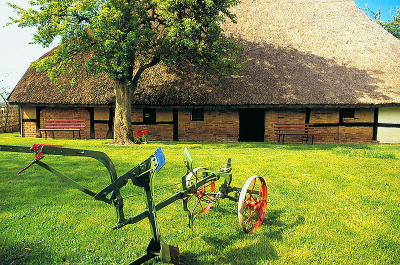 zur Übersicht Museen 1