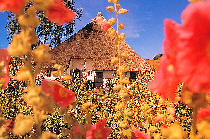 zur Übersicht Museen 1