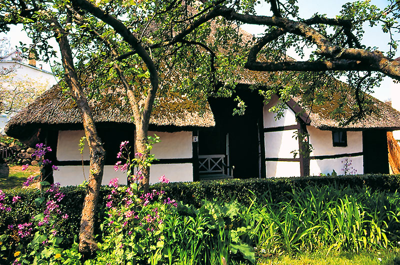 zur Übersicht Museen 2