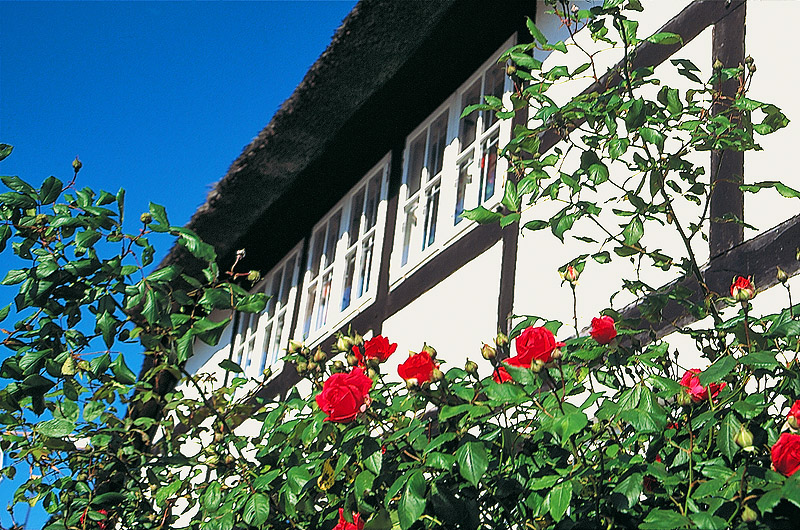 zur Übersicht Museen 2