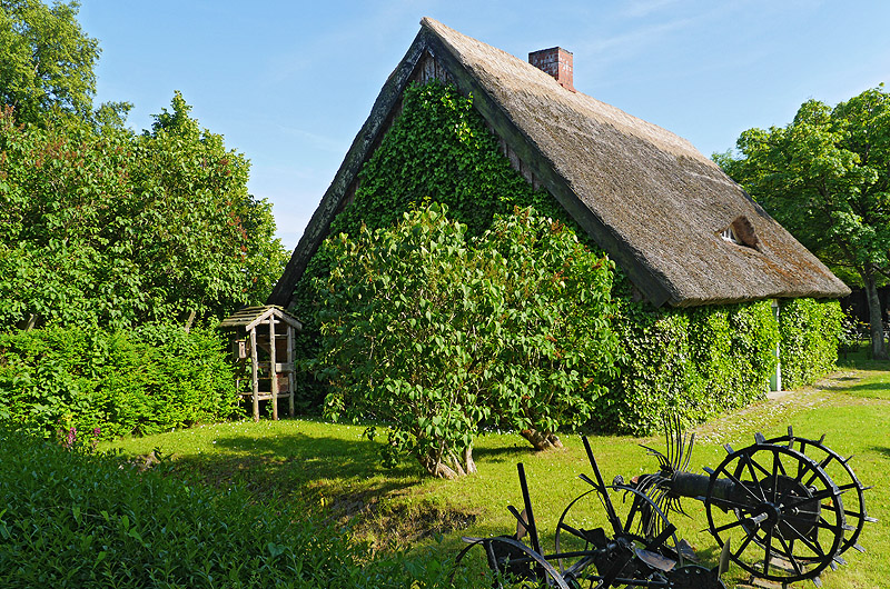 zur Übersicht Museen 3