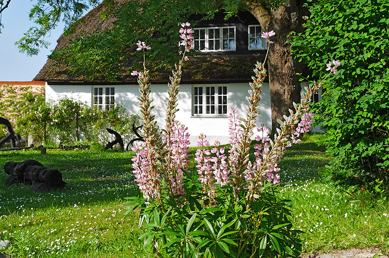 zur Übersicht Museen 3