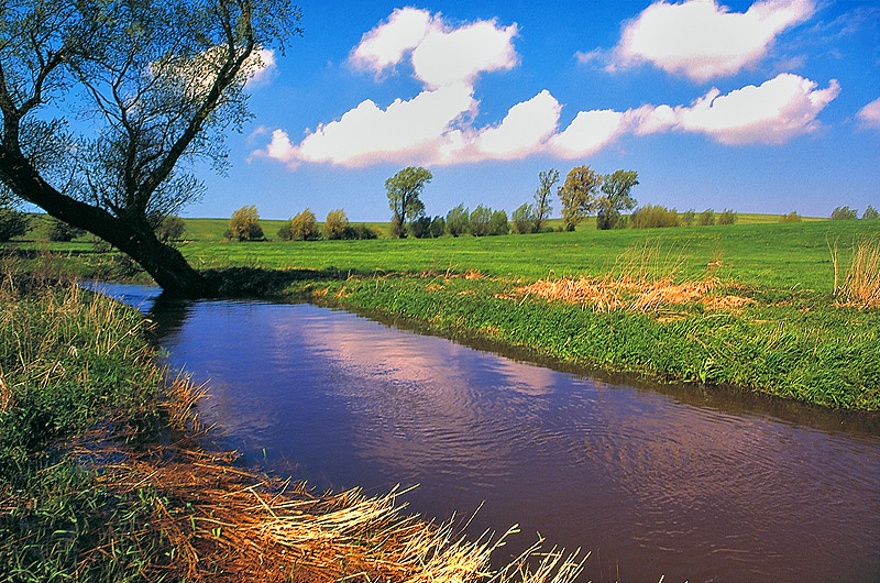zur Übersicht Muttland 1
